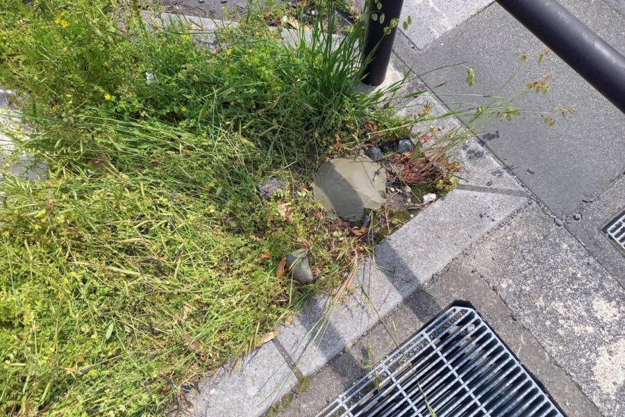 株式会社金星堂